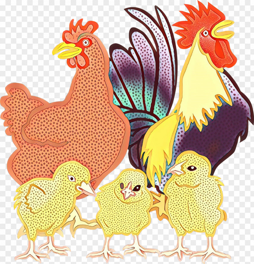 Livestock Beak Chicken Rooster Bird Fowl Comb PNG