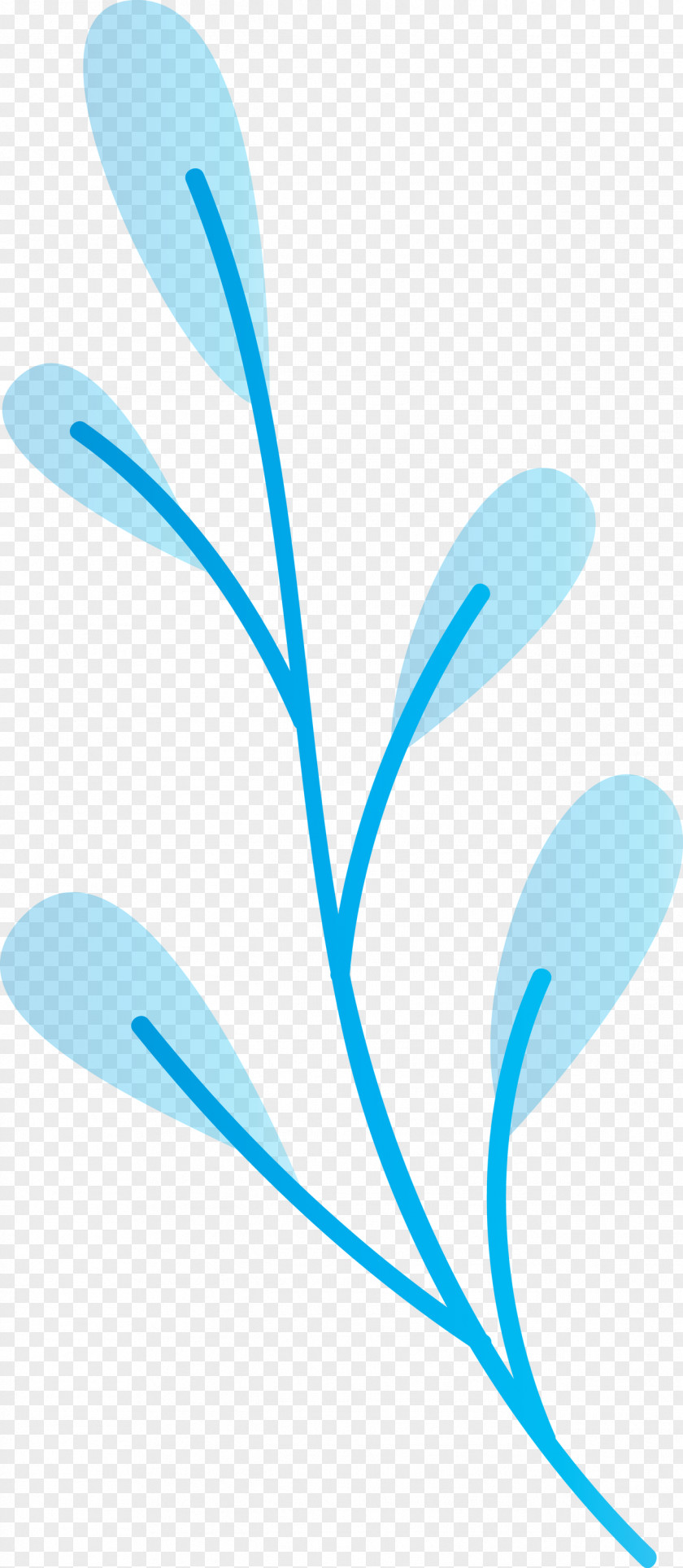 Plant Stem Leaf Branch Line Meter PNG