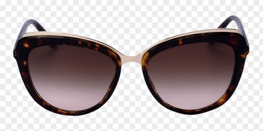 Sunglasses Ray-Ban Erika Classic Goggles PNG