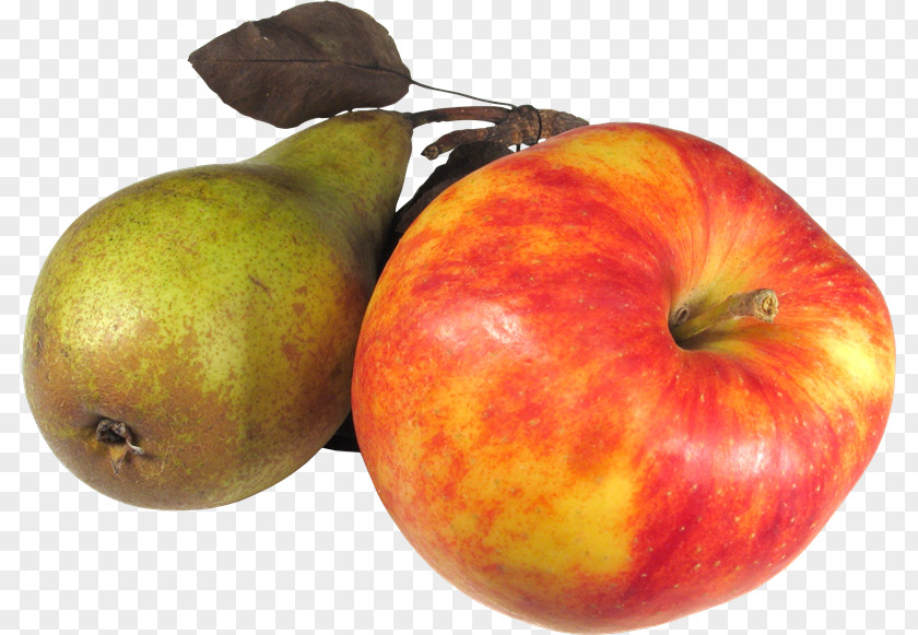 Verdura Apples Pome Food Breakfast PNG