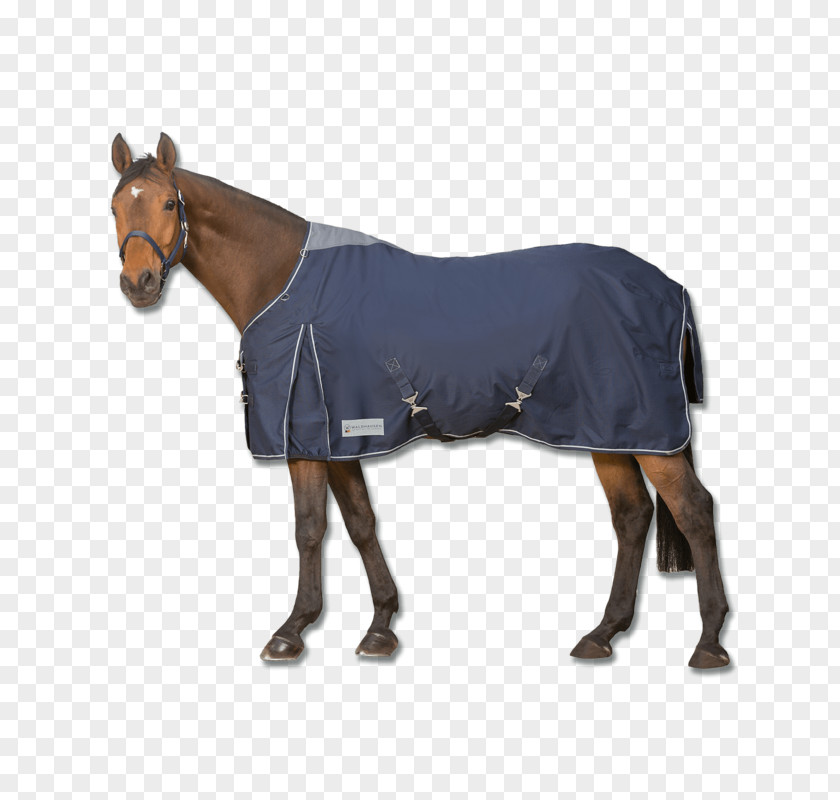 Big Discount Horse Blanket Pony Couverture D'extérieur 50 G Turnout Light By Bucas Equestrian PNG