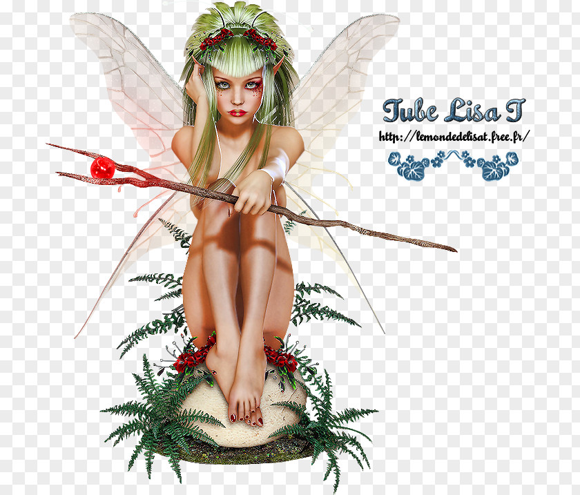Fairy Elf Blog Organism PNG
