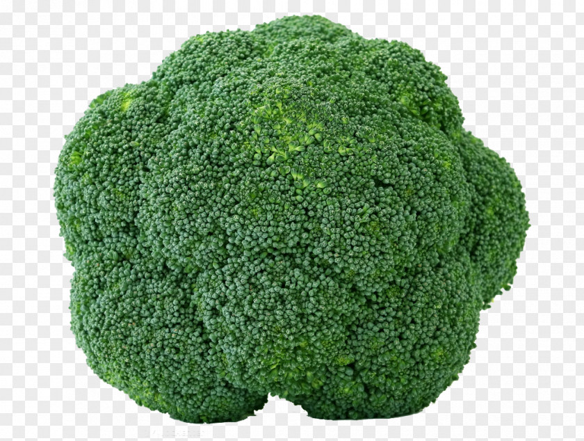 Fresh Fruits And Vegetables,broccoli Broccoli Cabbage Cauliflower Brussels Sprout Vegetable PNG