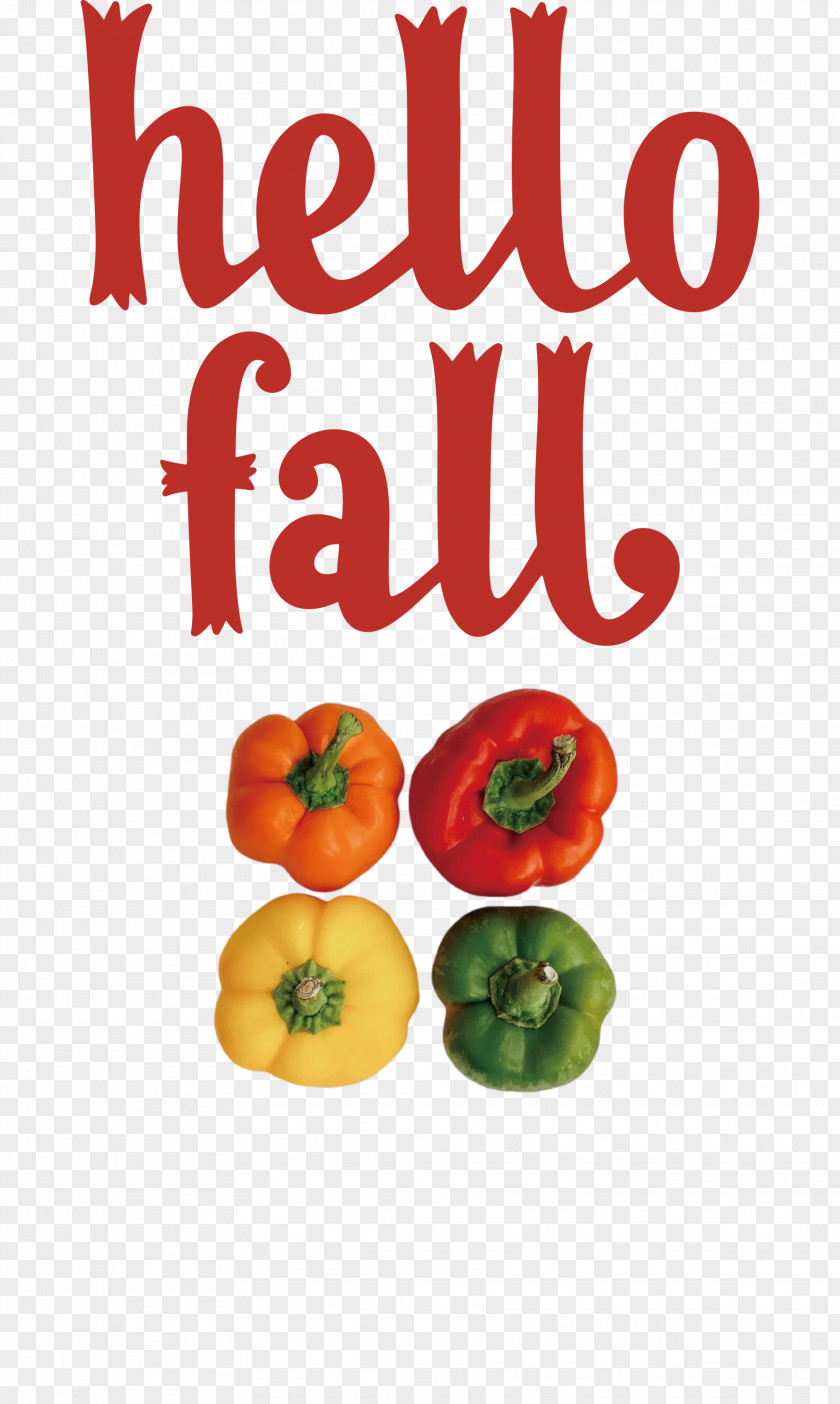 Hello Fall Fall Autumn PNG