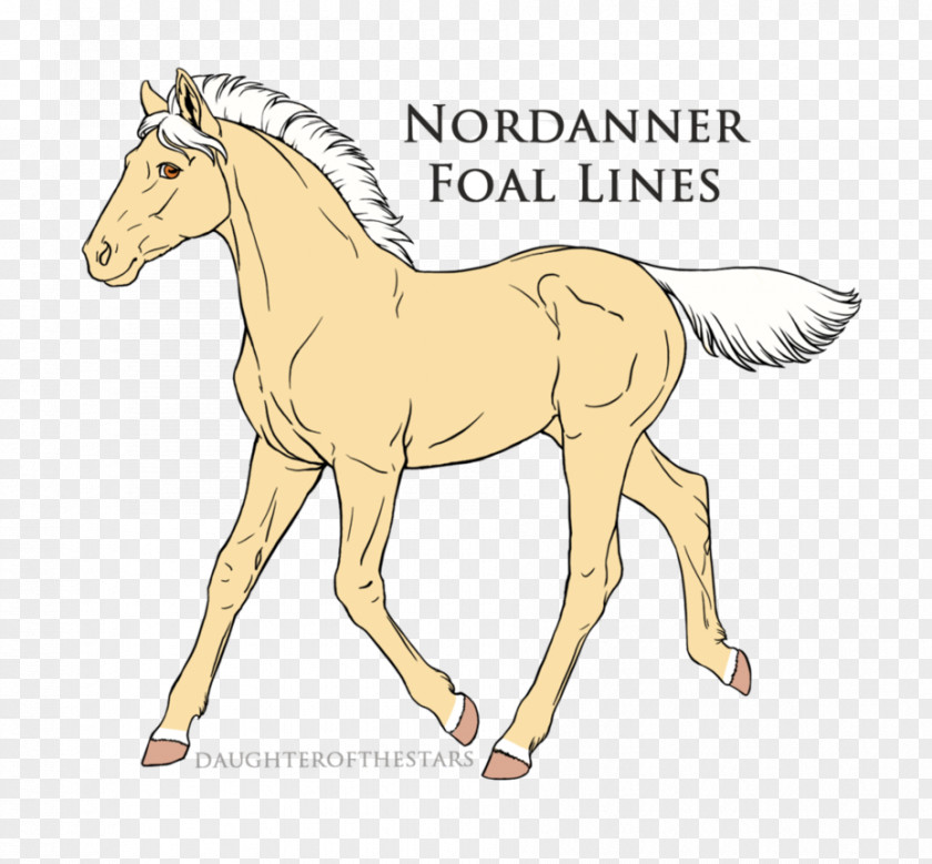 Horse Mule Pony Foal Stallion PNG