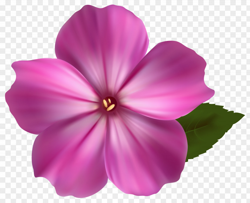 Pink Flower Clipart Image Flowers Clip Art PNG