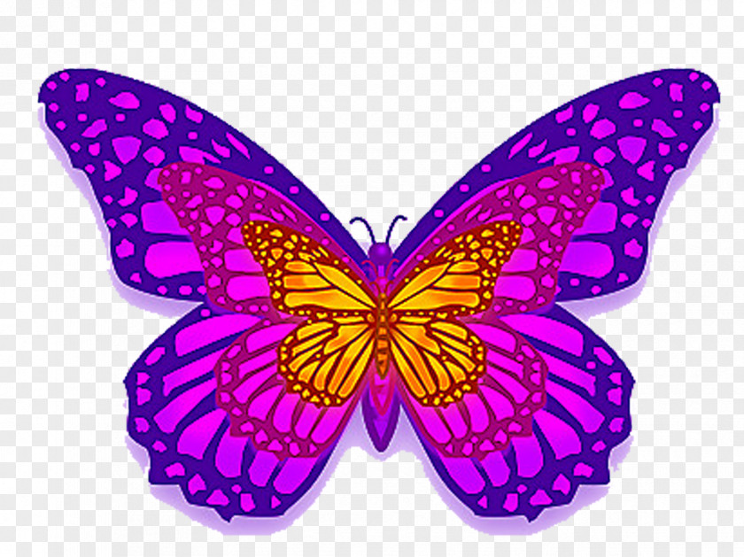 Purple Butterfly Monarch PNG