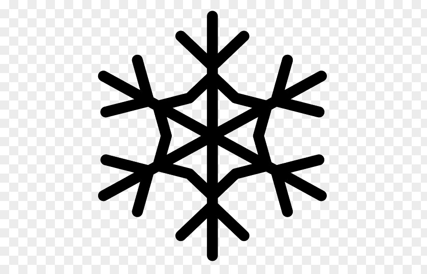 Snowflake Cold Winter PNG