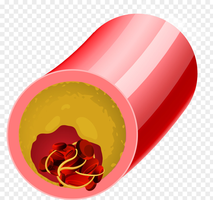 Vector Veins Of Red Blood Cells Vessel Cell Vein PNG