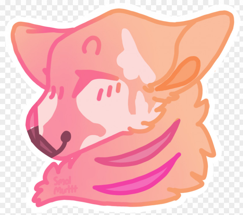 Cat Whiskers Pig Dog PNG