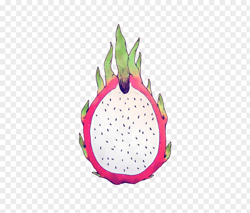 Hand-painted Dragon Fruit Smoothie Pitaya PNG