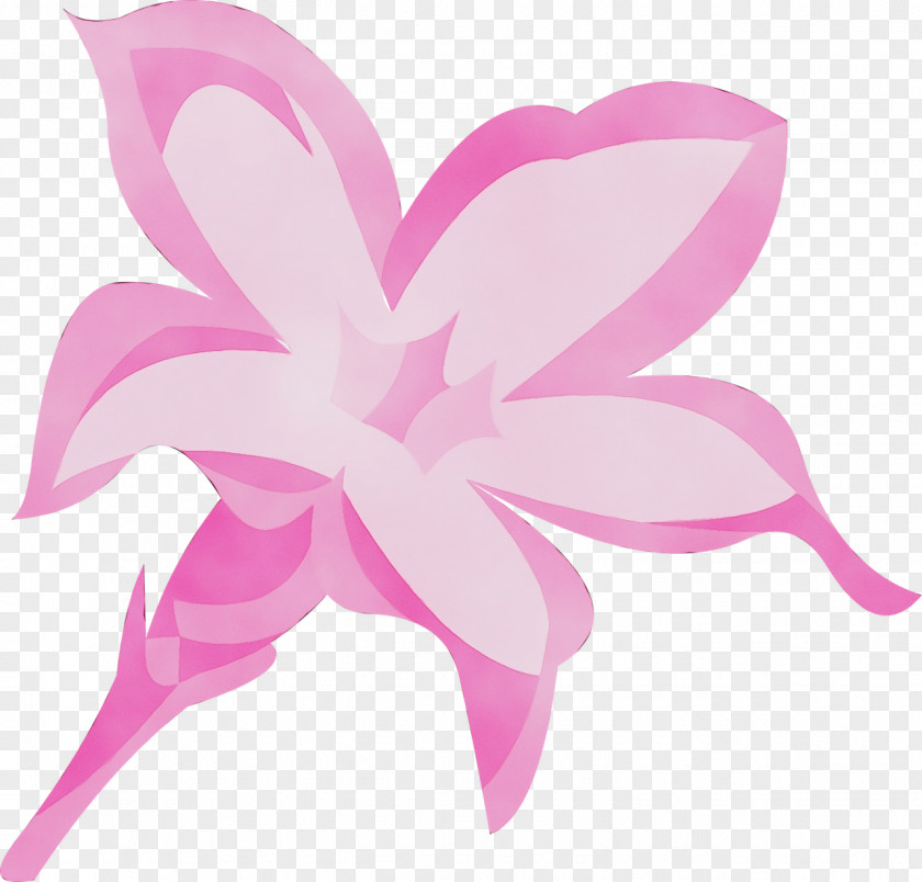 Pedicel Magenta Pink Petal Flower Plant Clip Art PNG