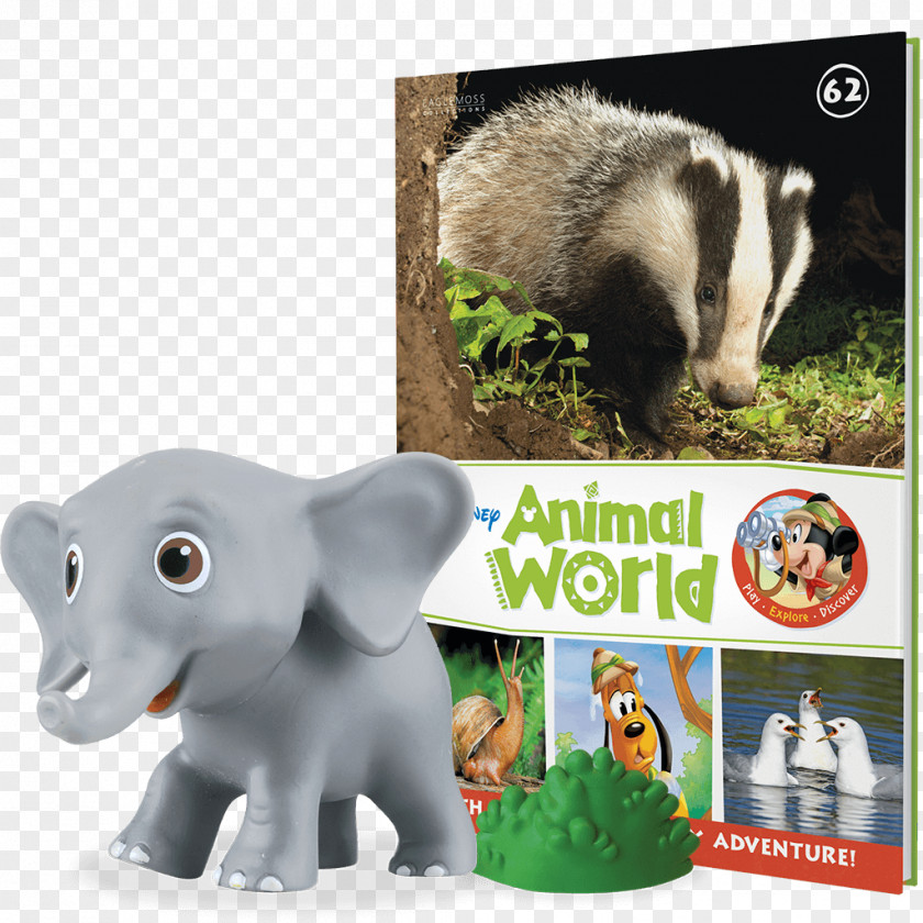 Puppy Wildlife Hardcover Fauna Snout PNG