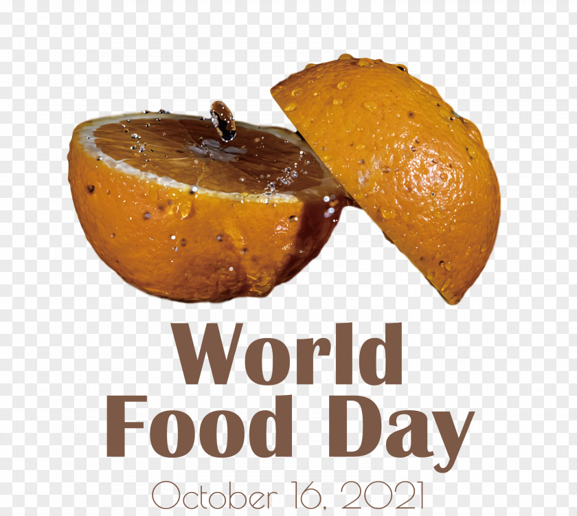 World Food Day Food Day PNG