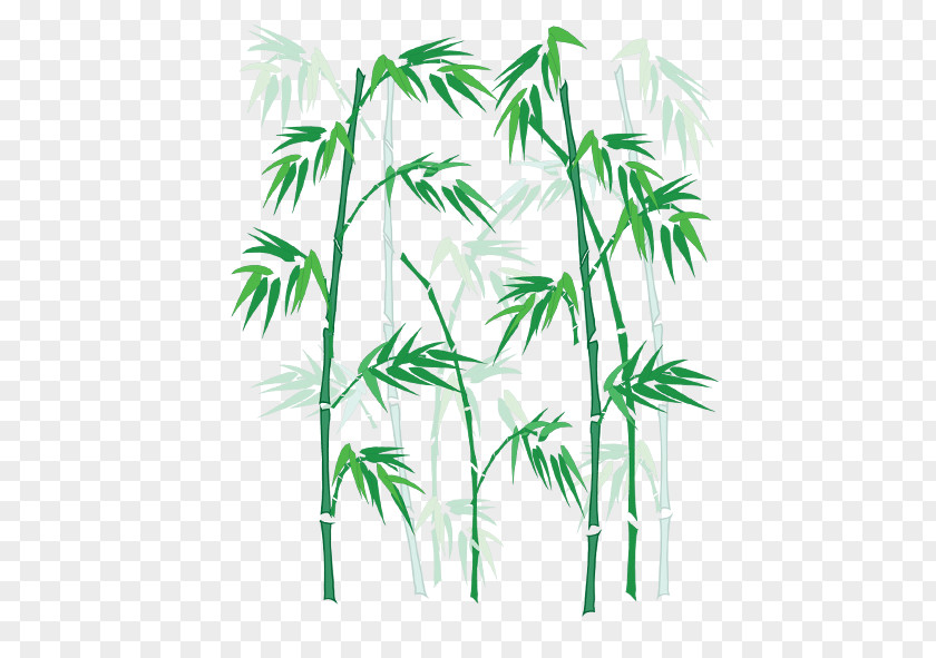 Bamboo Zongzi Bamboe Euclidean Vector PNG