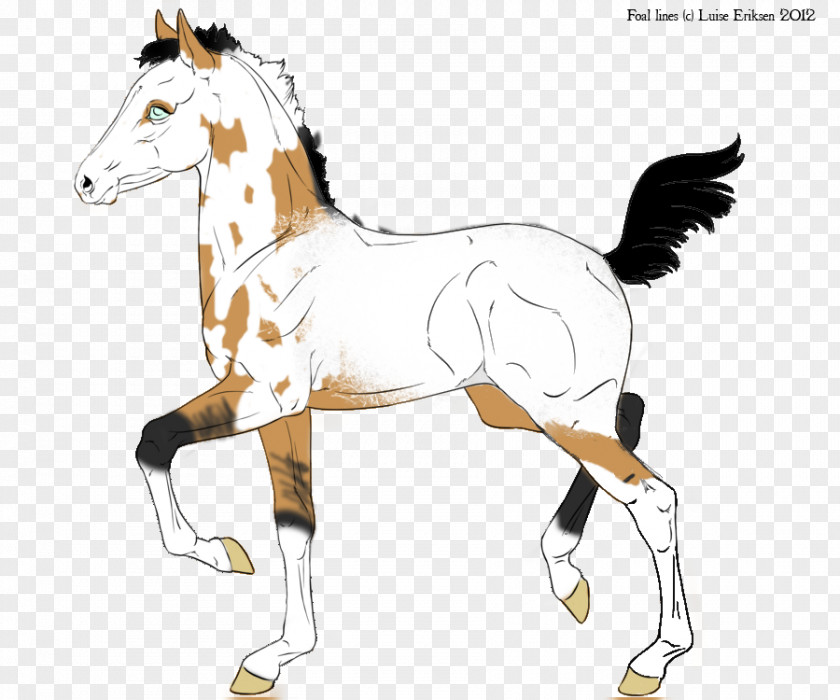 Cordon Bleu Foal Stallion Pony Colt Mustang PNG