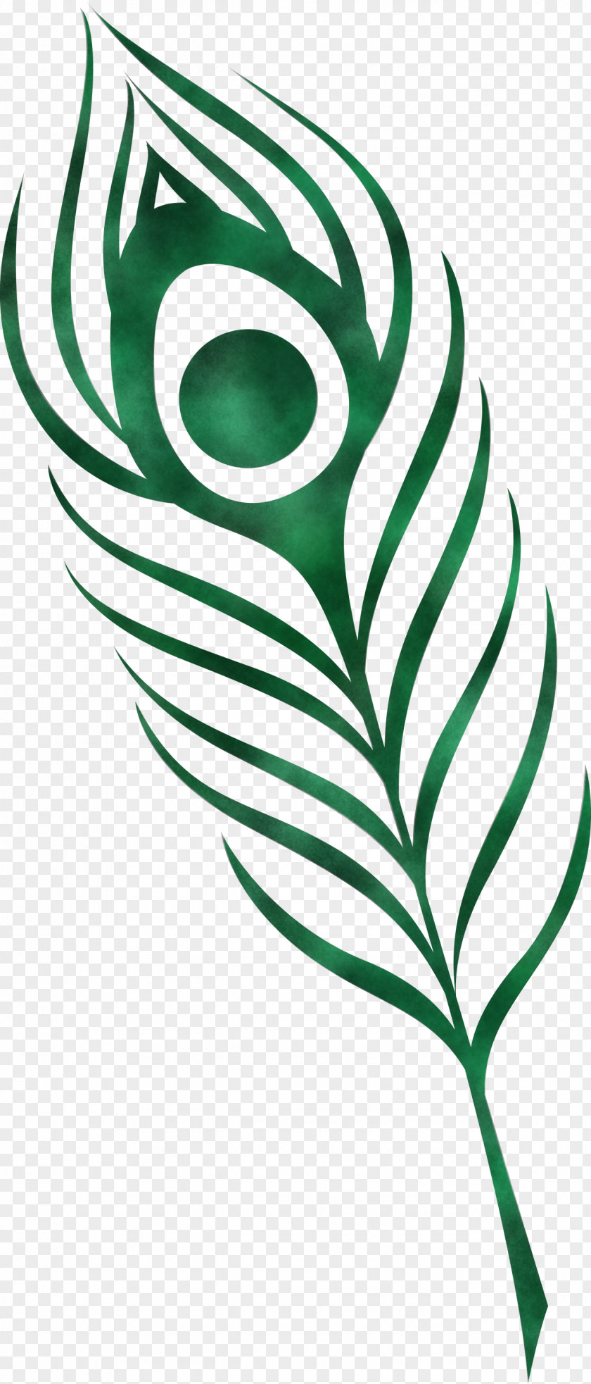 Feather PNG