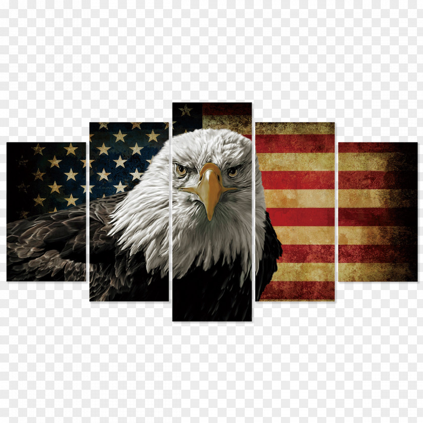 Freedom Eagle Bald United States Canvas Print Art PNG