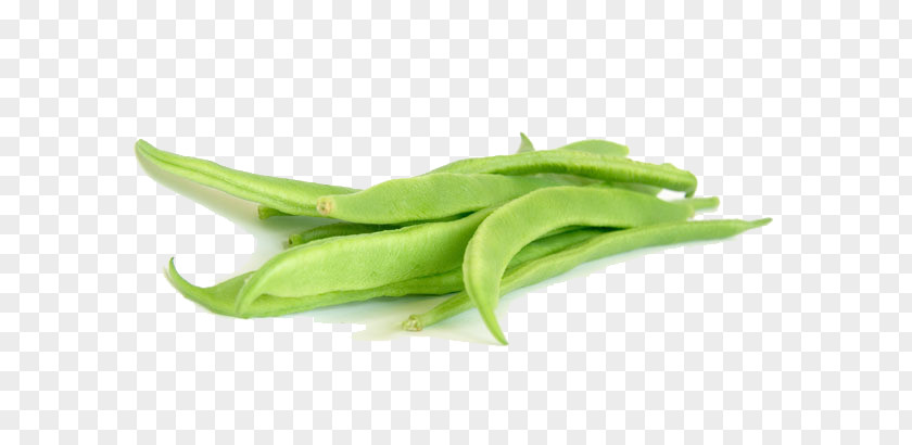 Green Beans Snap Pea Bean Vegetarian Cuisine Lima PNG