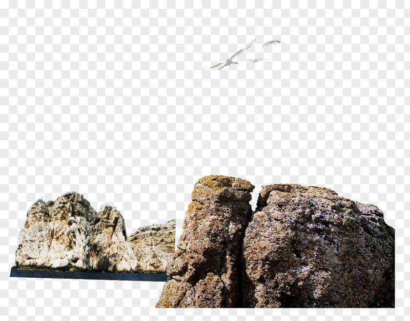 Stone Seagull Rock Download Computer File PNG