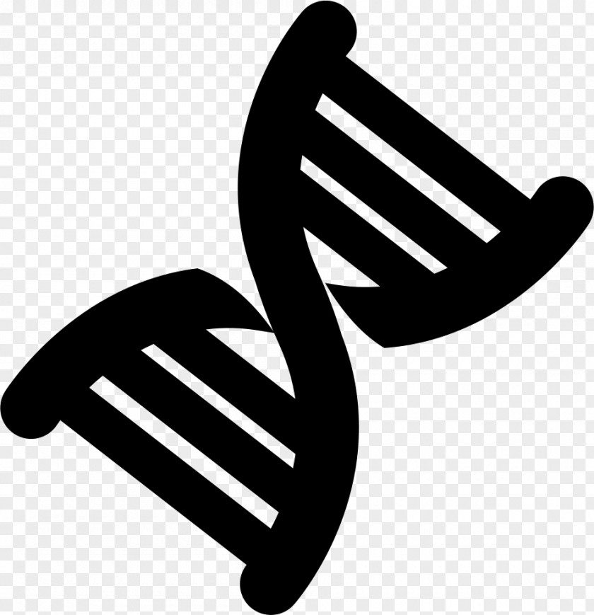 Vector Nucleic Acid Double Helix DNA Clip Art PNG