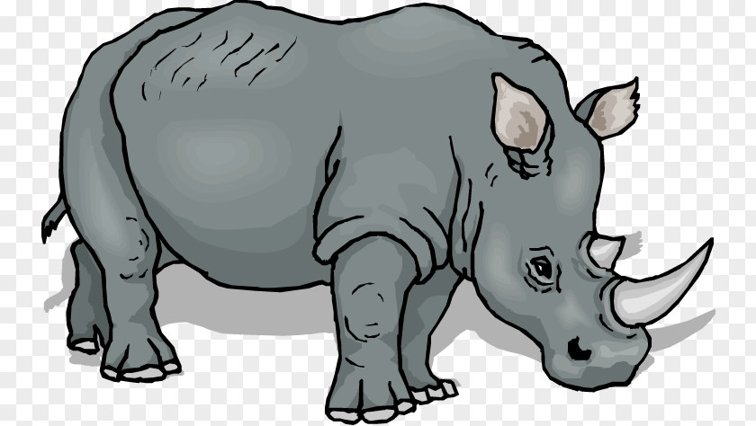 Cartoon Rhino Black Rhinoceros Clip Art PNG