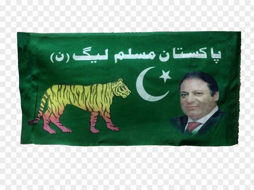 Election Campaign Pakistani General Election, 2018 Pakistan Muslim League Political PNG