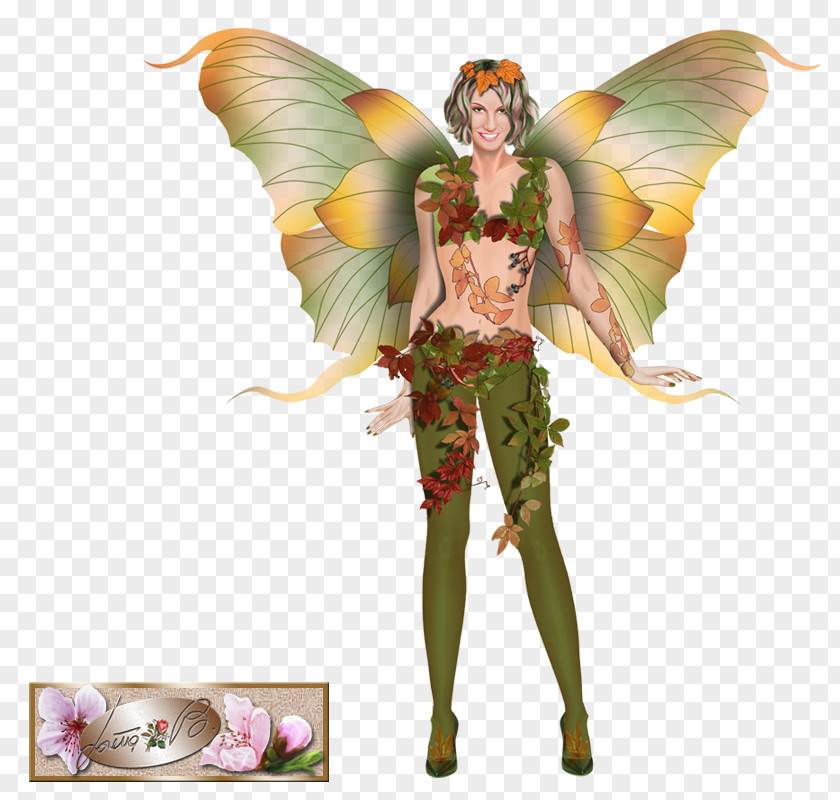 Fairy Costume Design Figurine Organism PNG