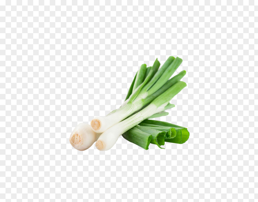 Green Onions Onion Vegetable Scallion Allium Fistulosum PNG