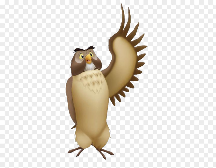 Owls PNG clipart PNG