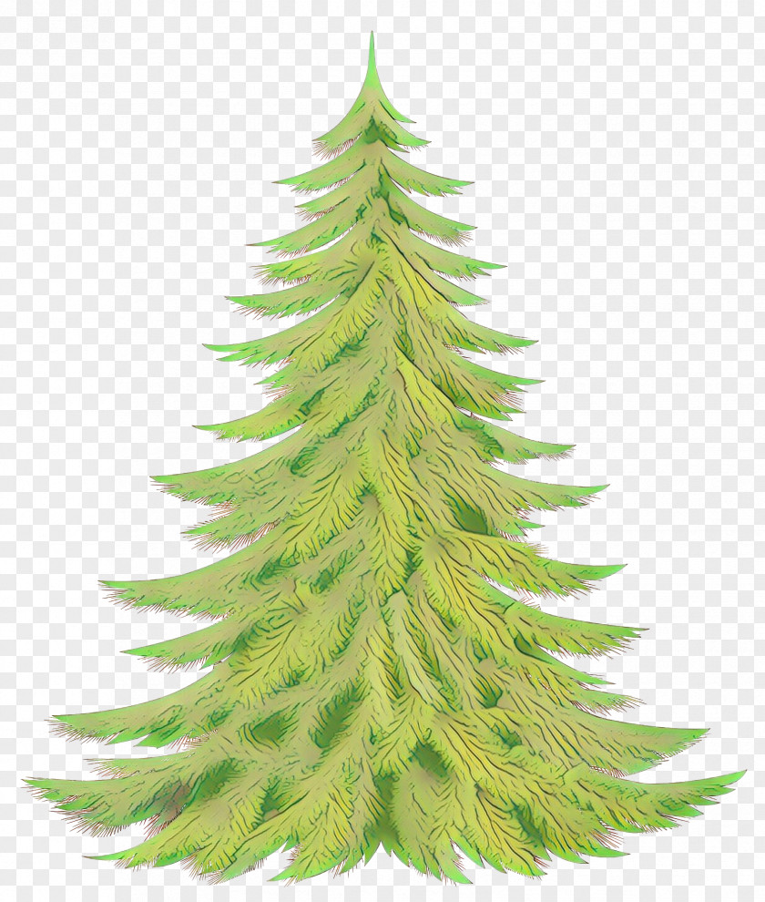 Plant Lodgepole Pine Shortleaf Black Spruce Yellow Fir Columbian White Balsam PNG