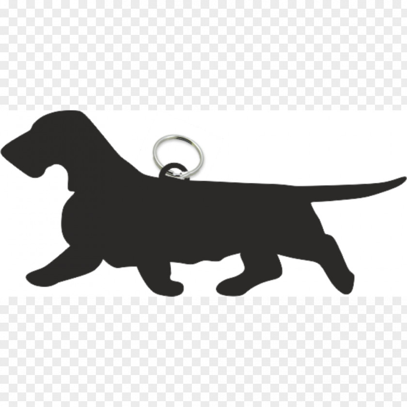 Puppy Labrador Retriever Dog Breed Dachshund Wirehaired Vizsla PNG