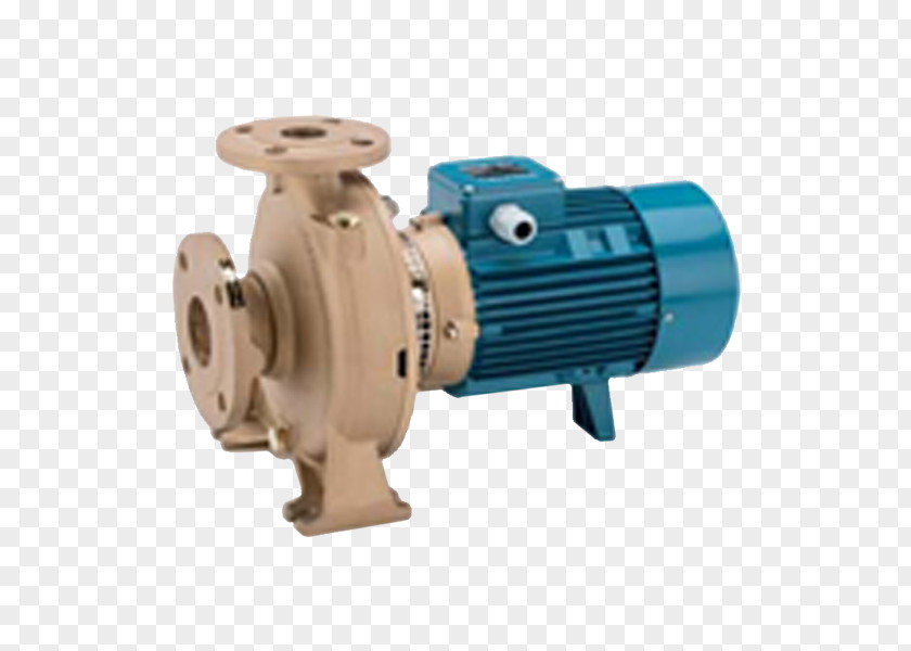 Calpeda Centrifugal Pump Irrigation Rotodynamic Hydraulic Accumulator PNG