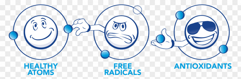 Free Radical Free-radical Theory Of Aging Antioxidant Chemical Reaction Redox PNG