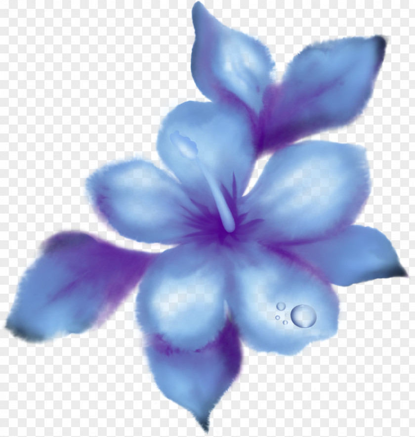Hibiscus Mutabilis Egg Foo Young Blue Clip Art PNG
