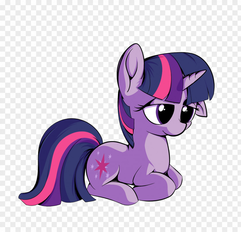 Horse Pony Snout Clip Art PNG