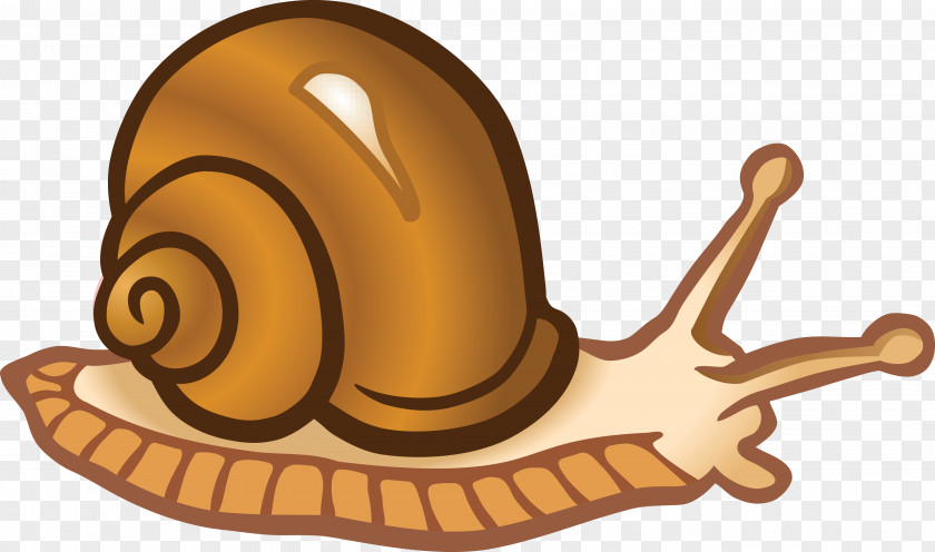 Snails Snail Clip Art PNG