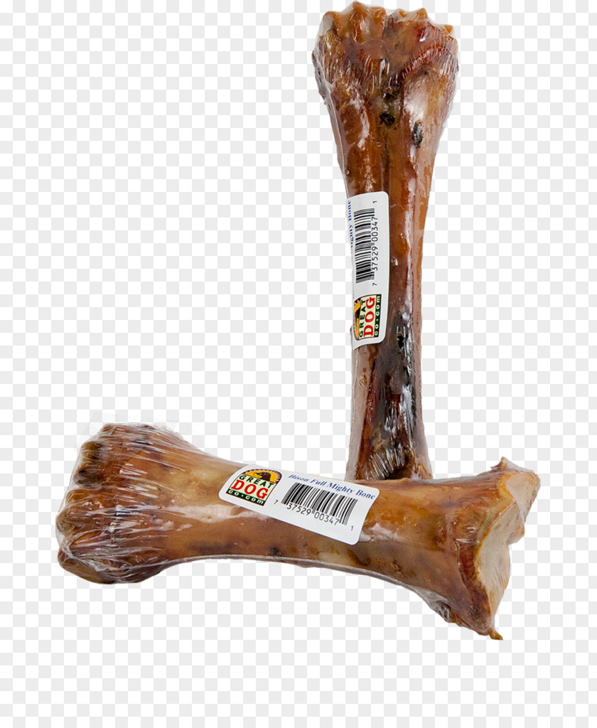 Bone Dog Bison Hock United States PNG