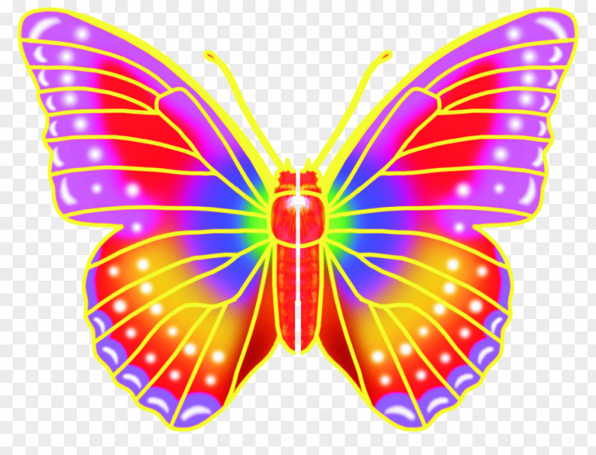 Colorful Butterfly Monarch PNG