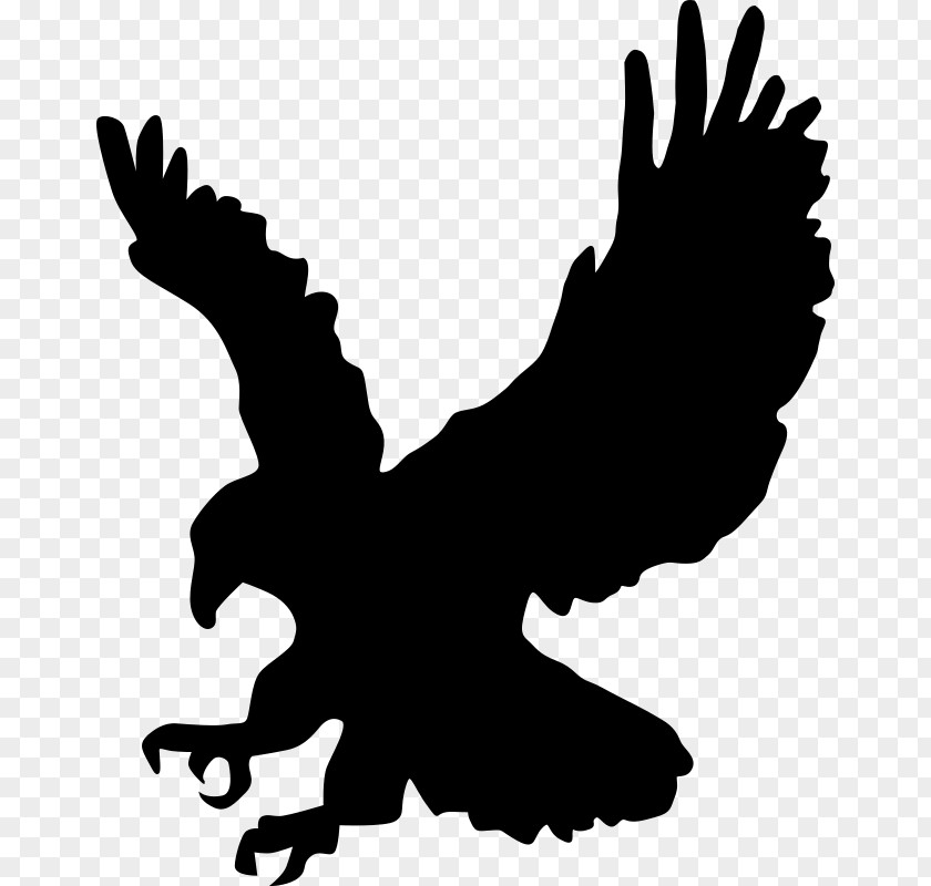 Eagle Bald Silhouette Clip Art PNG