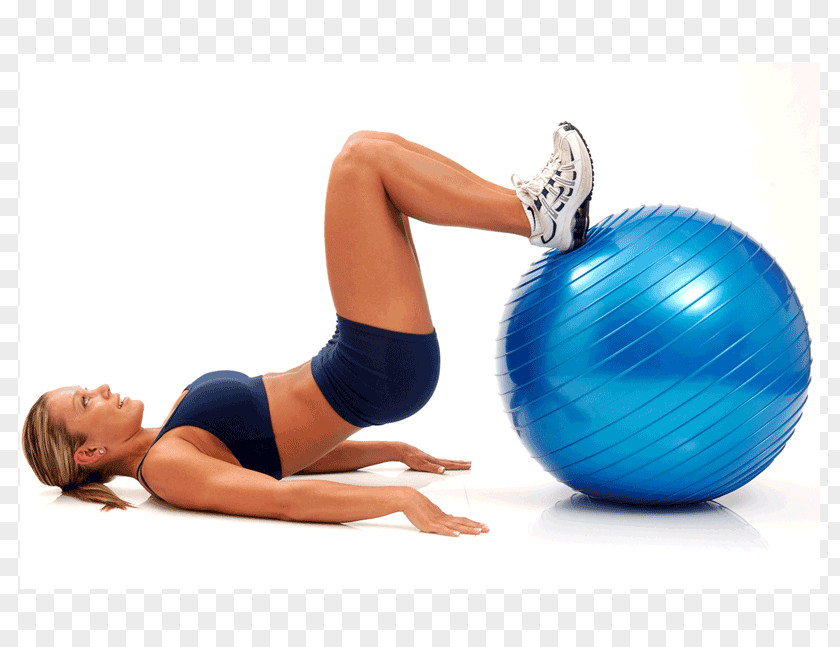 Yoga Exercise Balls Pilates Physical Fitness Centre PNG