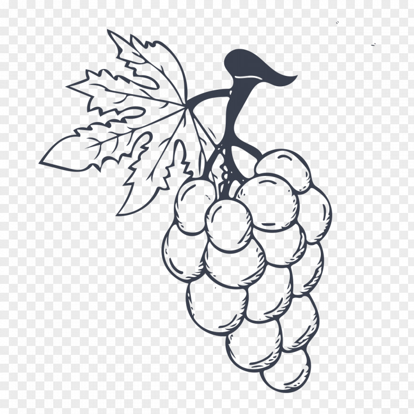 A Bunch Of Grapes Ice Cream Wine Grape PNG