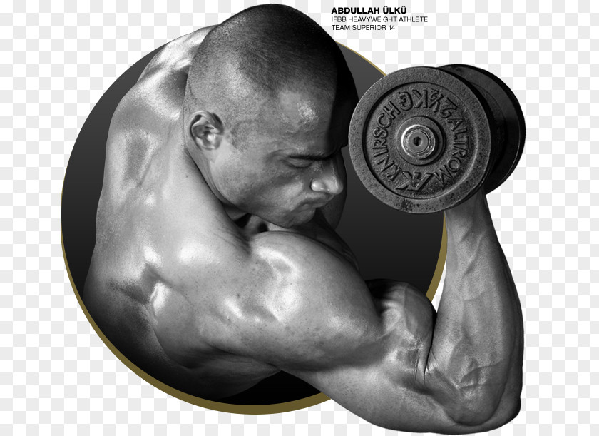 Abdullah Whey Protein Nutrition Muscle PNG