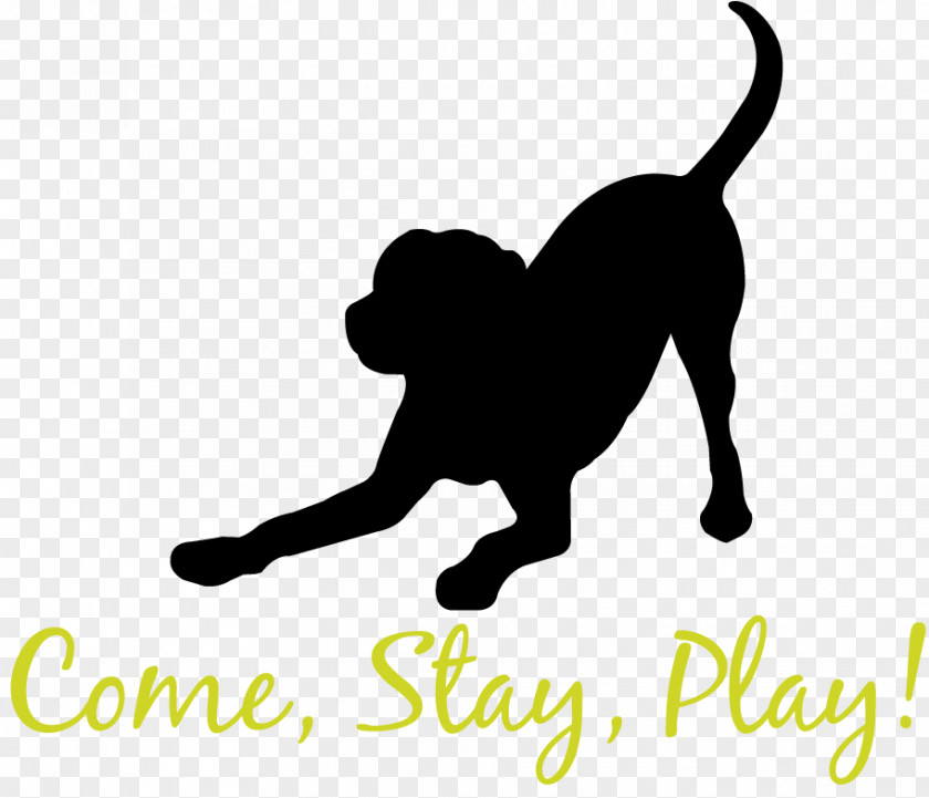 Cat Dog Breed Pet Sitting Daycare PNG