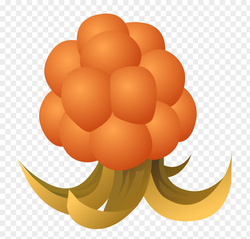 Cloudberry Food Clip Art PNG