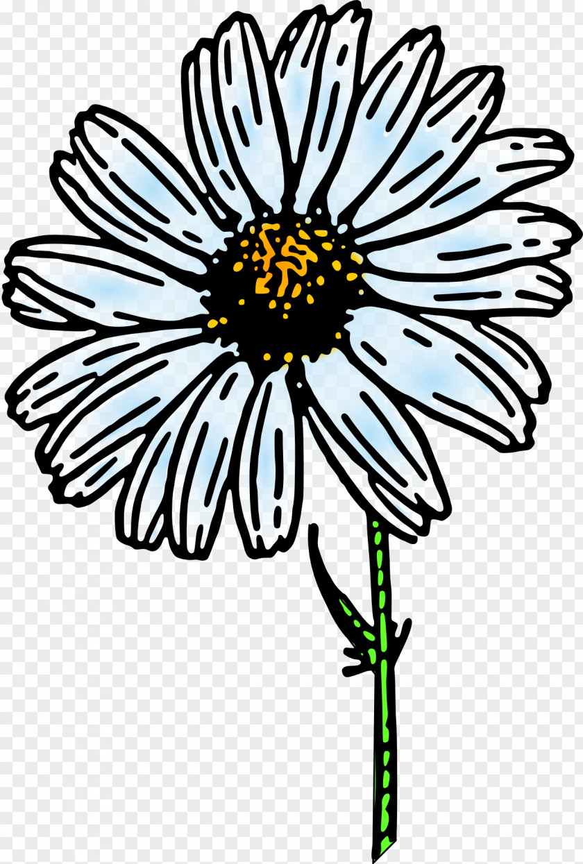 Daisys Flower Black And White Clip Art PNG