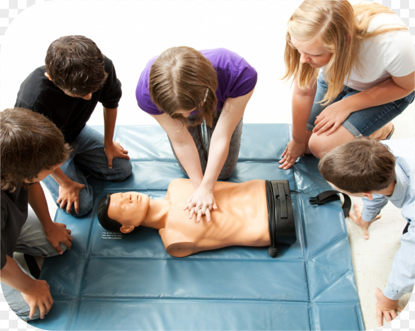 Heart Cardiopulmonary Resuscitation Basic Life Support American Association First Aid Supplies Automated External Defibrillators PNG