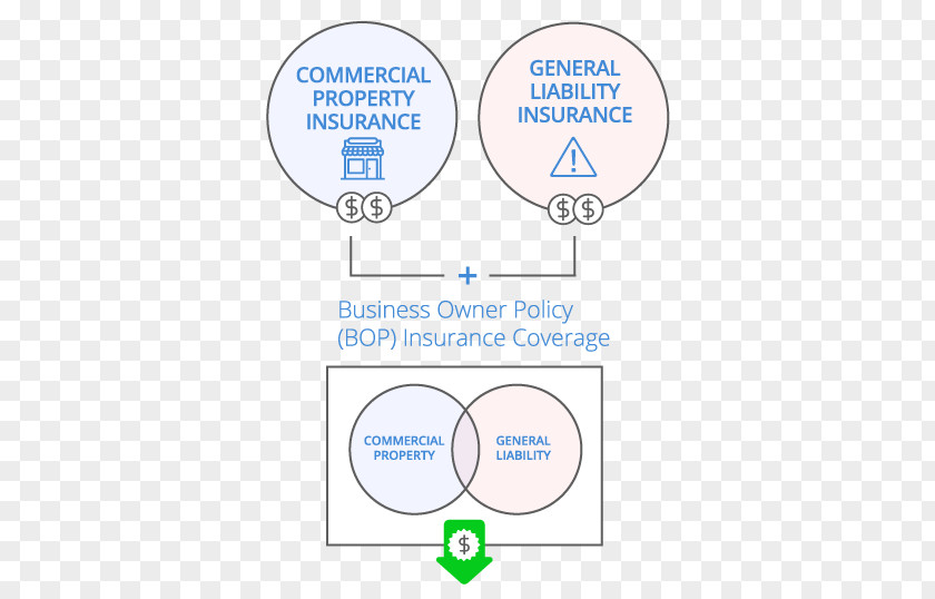 Insurance Policy Brand Product Design Line Organization PNG