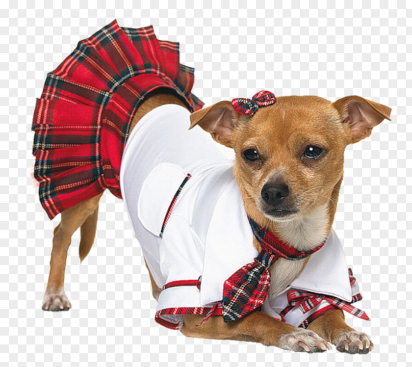 Puppy Wearing Clothes Dog Halloween Costume Woman PNG