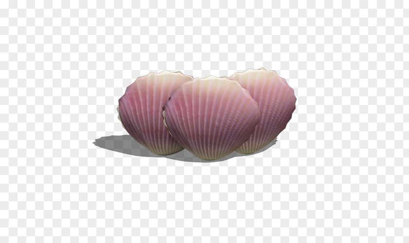 Three Purple Shell Download Computer File PNG